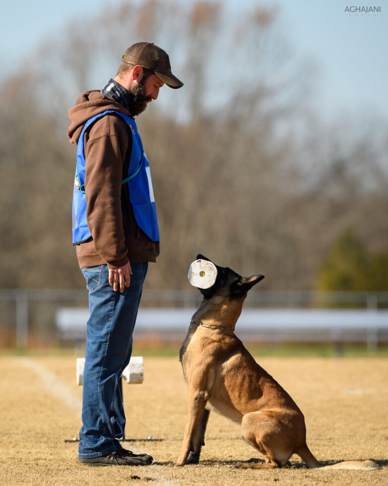 Dog Training Cape Cod, Dog Trainer Cape Cod, Schutzhund Training, Board